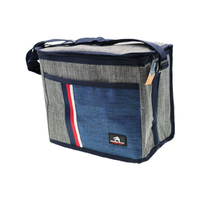 BAG COOLER BAG 30X16X24CM