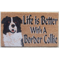 LATEX COIR BORDER COLLIE 45X75CM