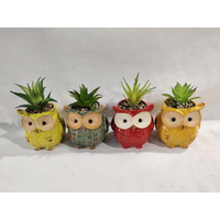 SMALL CERAMIC OWL PLANTER 7x8 3ASST