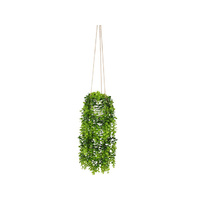 100CM HANGING PLANT IN POT QTY 4