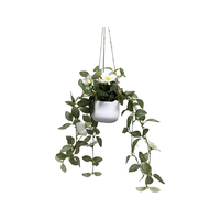 70CM HANGING WHITE FLOWER PLANT QTY 6