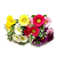 FLOWER BUNCH - 6HD GEBRAS 6COLS