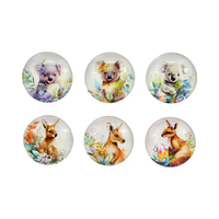 5CM GLASS AUSTRALIANA MAGNET 6ASST UN12