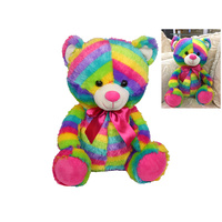 40CM RAINBOW COLOURED PLUSH BEAR