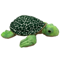 TAYLOR TURTLE