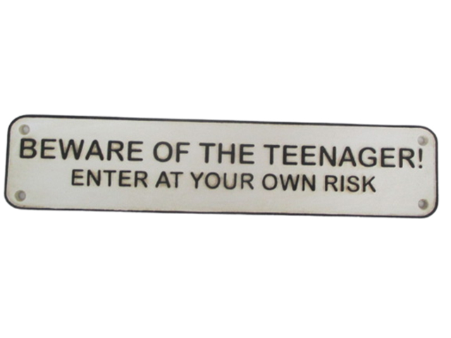 BEWARE OF THE TEENAGER PLAQUE