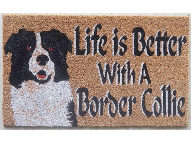 LATEX COIR BORDER COLLIE 45X75CM