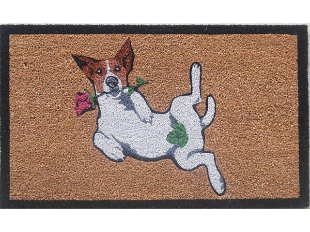 LATEX COIR JACK RUSSEL 45X75CM