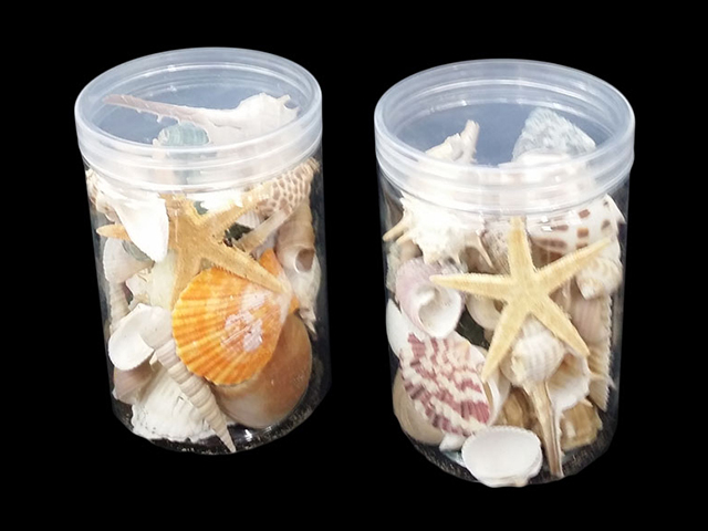 VASE DECO SEASHELLS