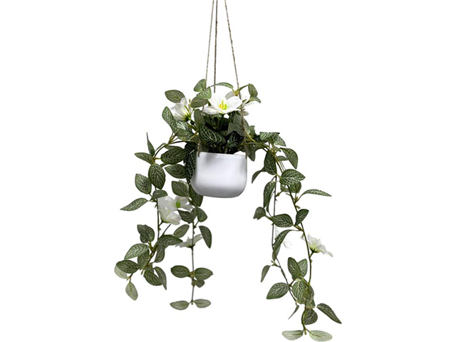 70CM HANGING WHITE FLOWER PLANT QTY 6