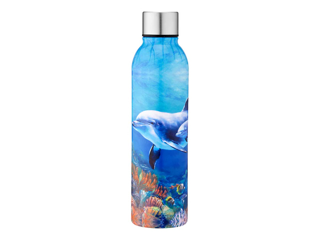 PLAYFUL DOLPHINS UNDERWATER BUDDIES DRINK