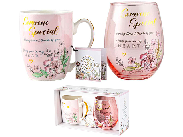 SOMEONE SPECIAL MUG AND STEMLESS GIFT SET