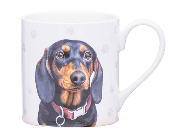 PAWS &amp; ALL DACHSHUND MUG