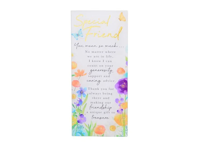 EMBRACE SPECIAL FRIEND PLAQUE