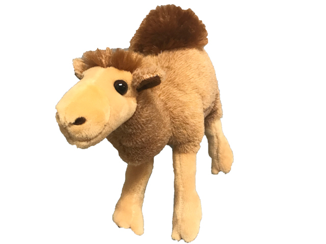 CAMERON CAMEL