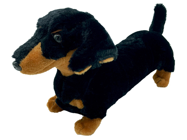 DAVIE DACHSHUND